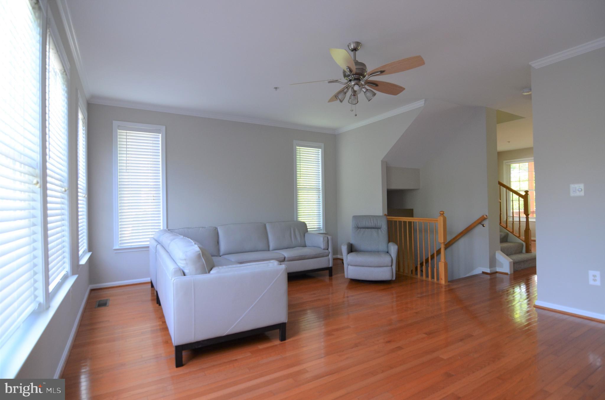 11023 Birchtree Lane Laurel, MD 20723 - Photo 8 of 22 Freshly painted through out