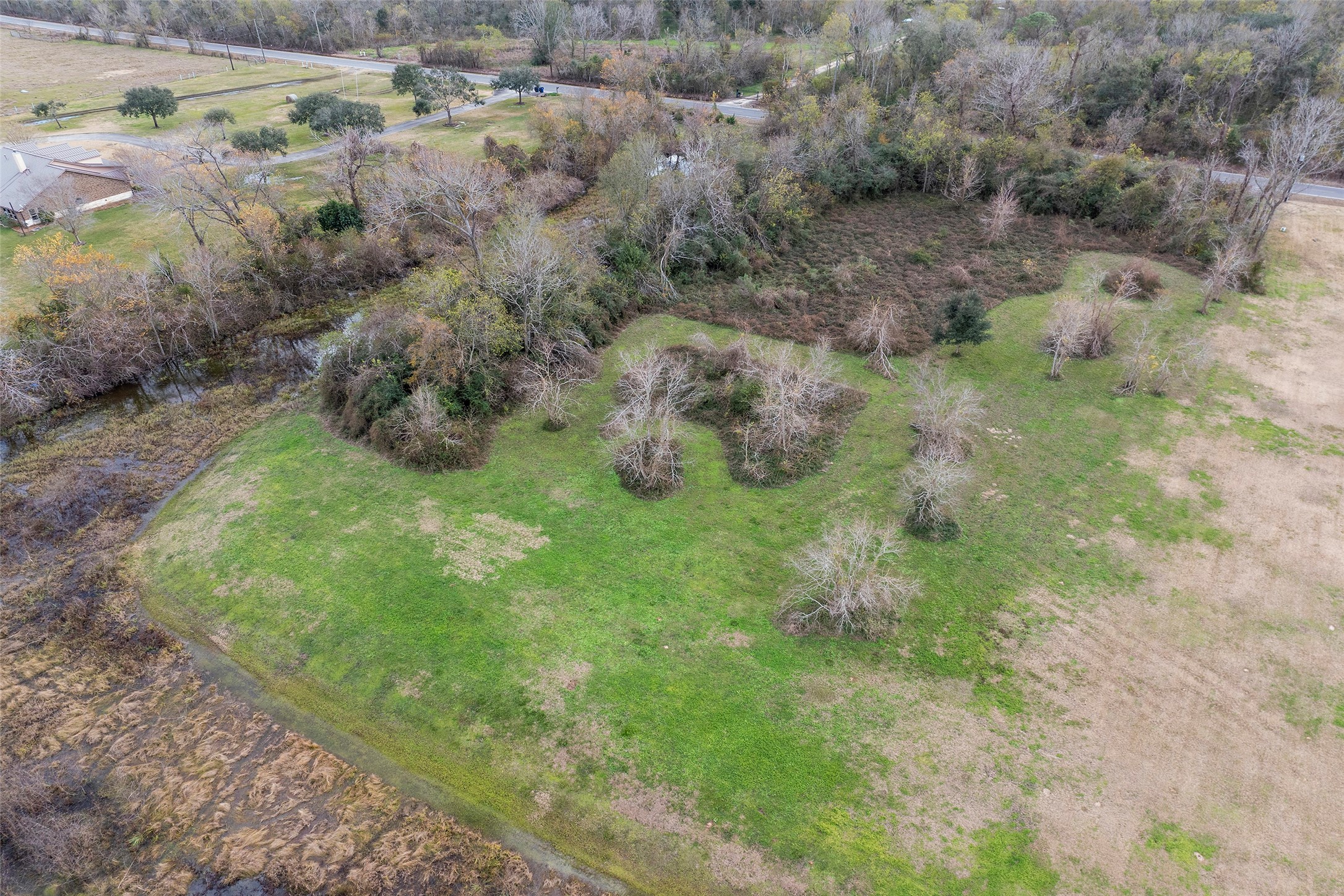 702 County Road 34 Angleton, TX 77515 - Photo 8 of 10 a view of a lush green forest with lots of trees