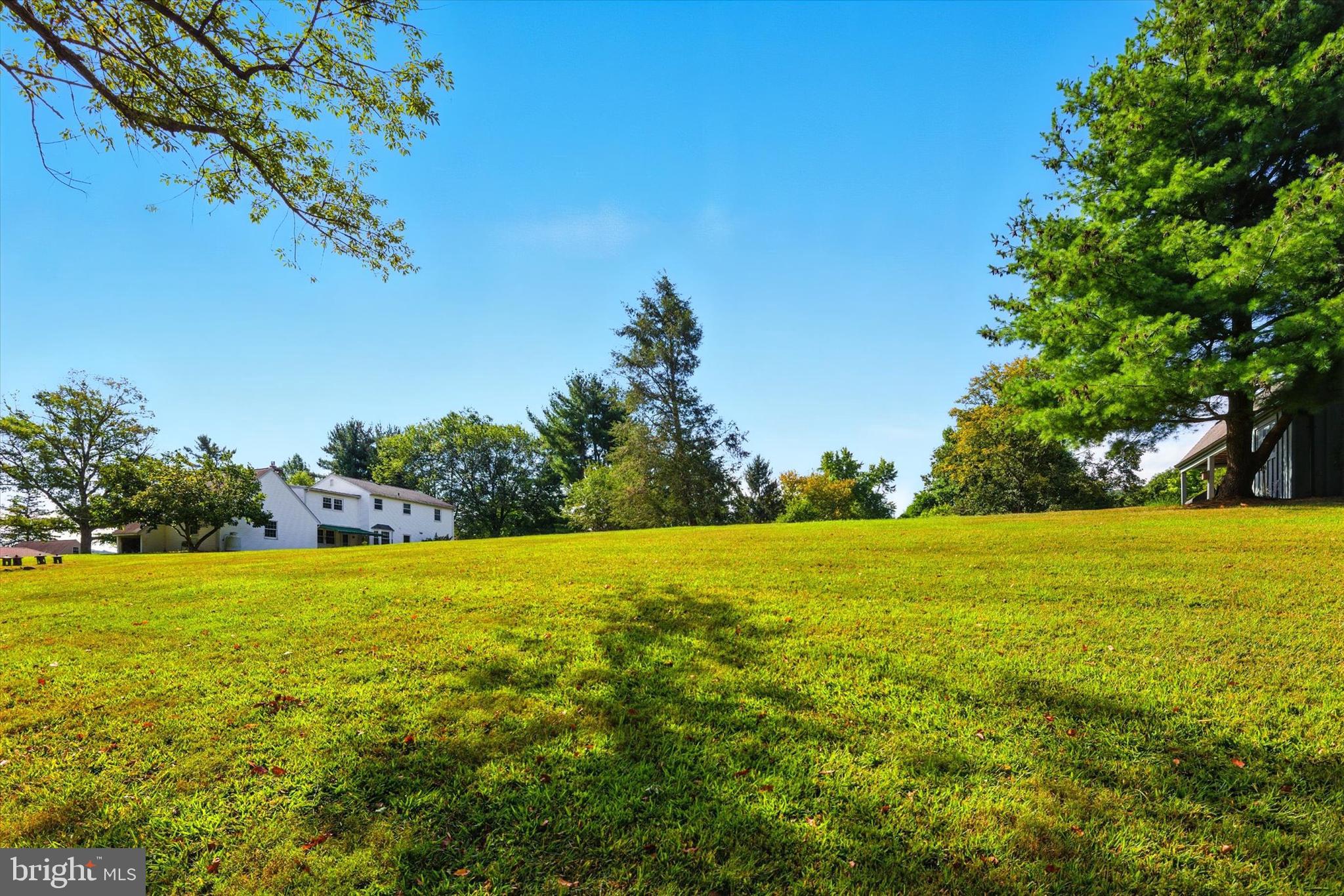 1337 Coldsprings Road Pottstown, PA 19465 - Photo 5 of 32 Backyard