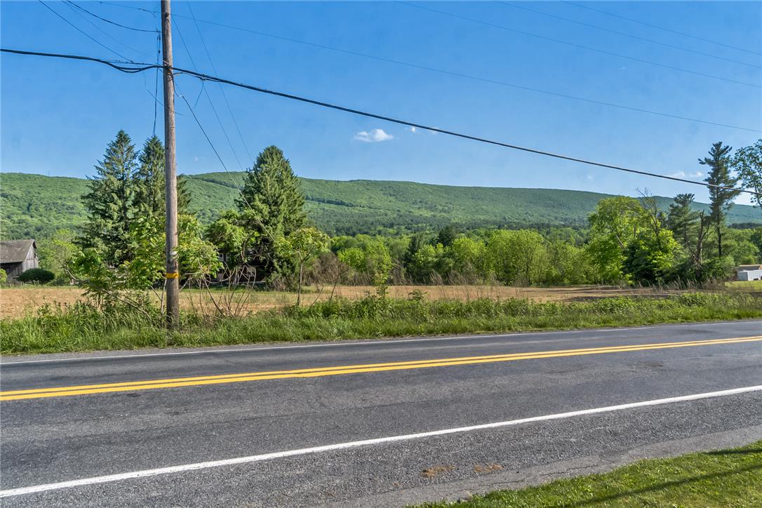 331 East Lizard Creek Road Lehighton, PA 18235 - Photo 4 of 37 Rolling green mountains provide a majestic backdrop to this verdant, undeveloped land.