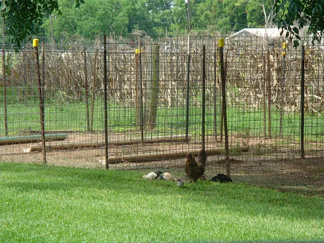 $1,150 | 2449 Precinct Line Road, Richmond, TX 77406