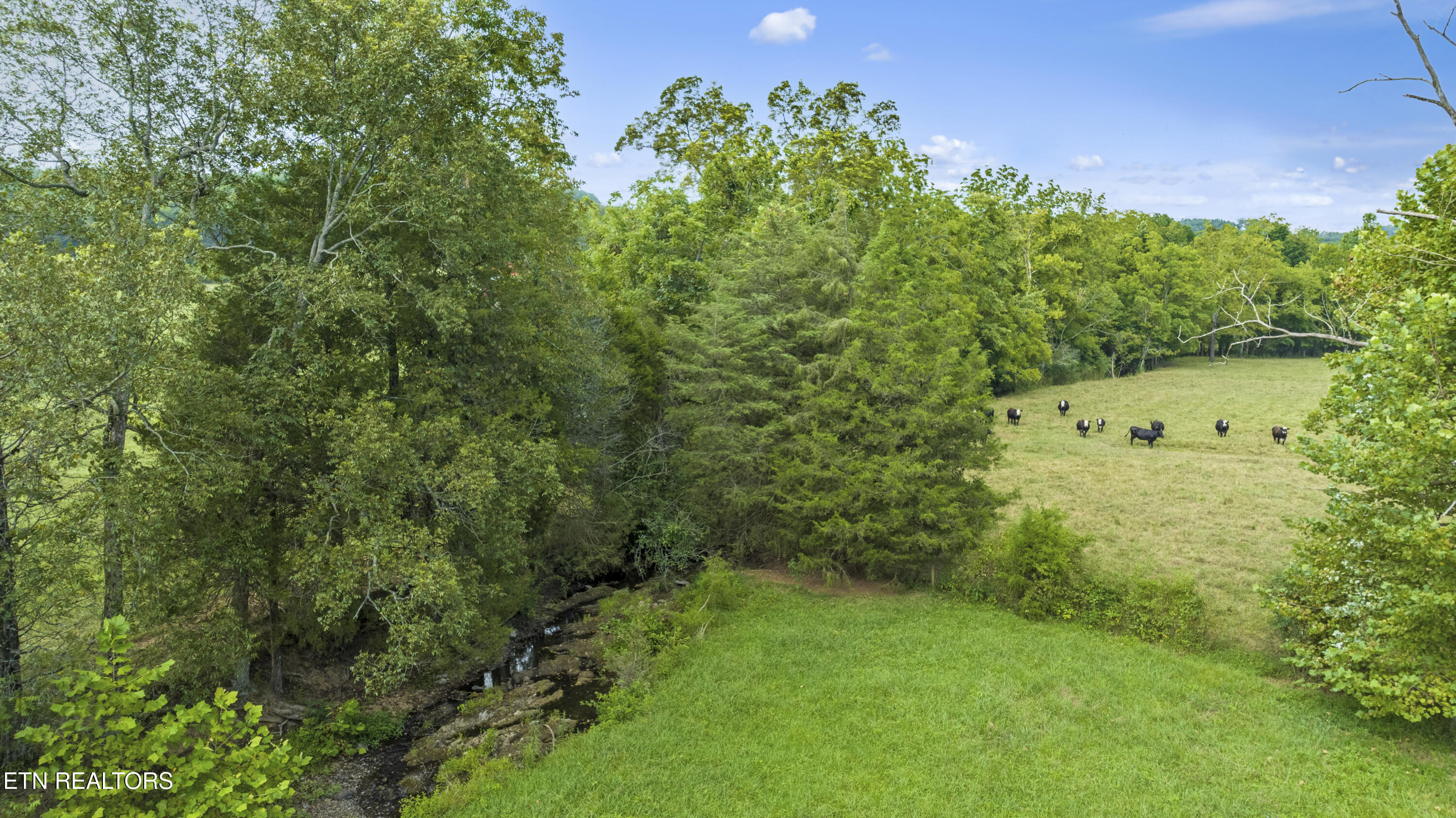 1541 Dogtown Road Ten Mile, TN 37880 - Photo 7 of 24 DJI_0868-HDR
