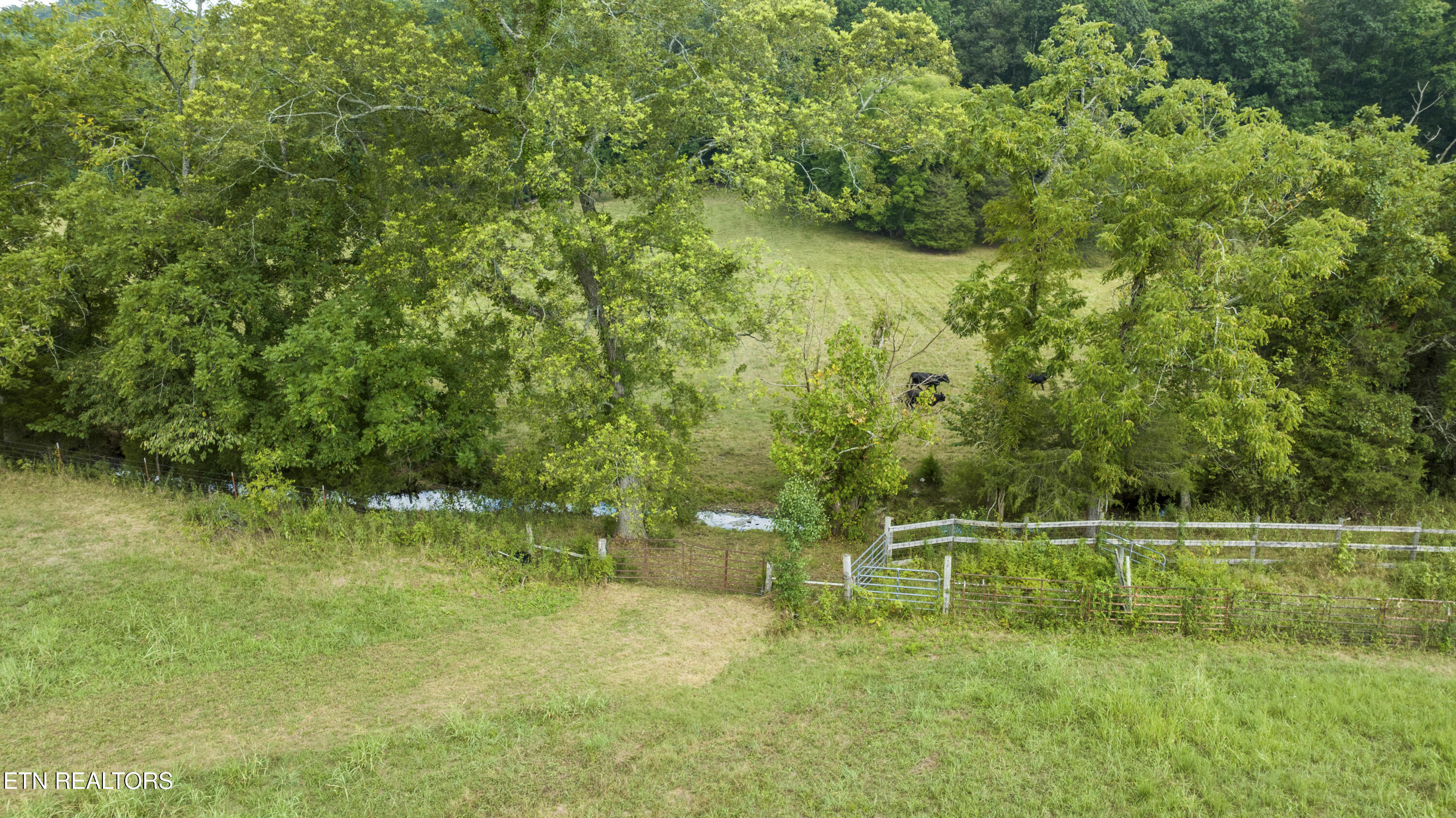 1541 Dogtown Road Ten Mile, TN 37880 - Photo 8 of 24 DJI_0883-HDR