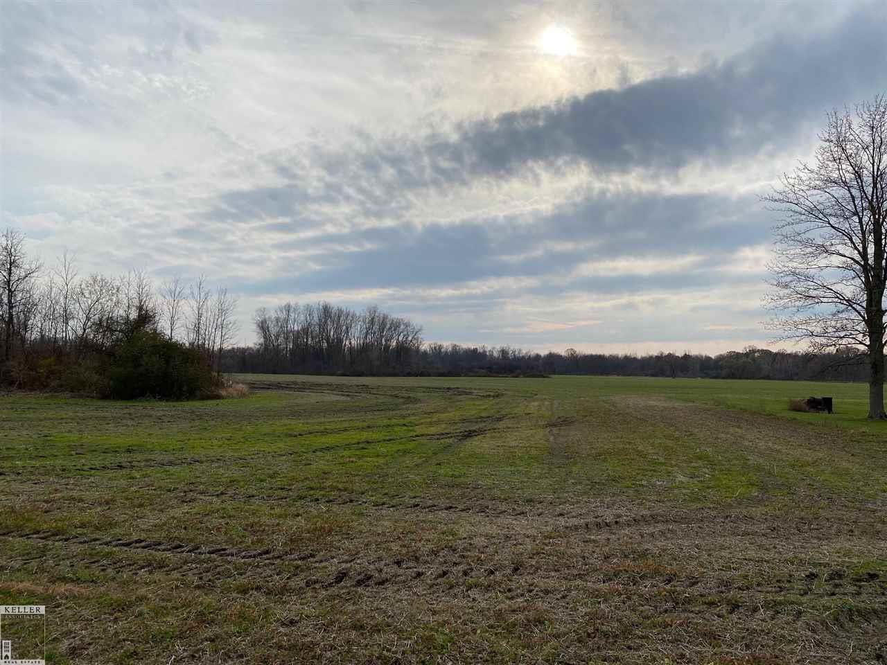 New Haven Rd Ville Ray, MI 48096 - Photo 1 of 5