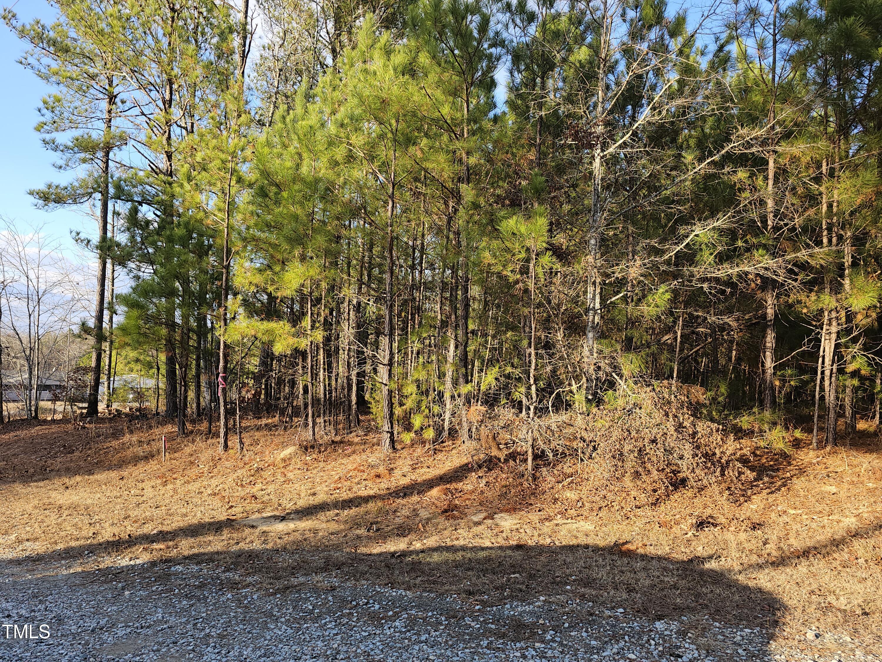 a view of yard covered with snow