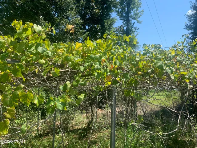 $298,900 | 13537 Missy Lane, Clarksville, FL 32430