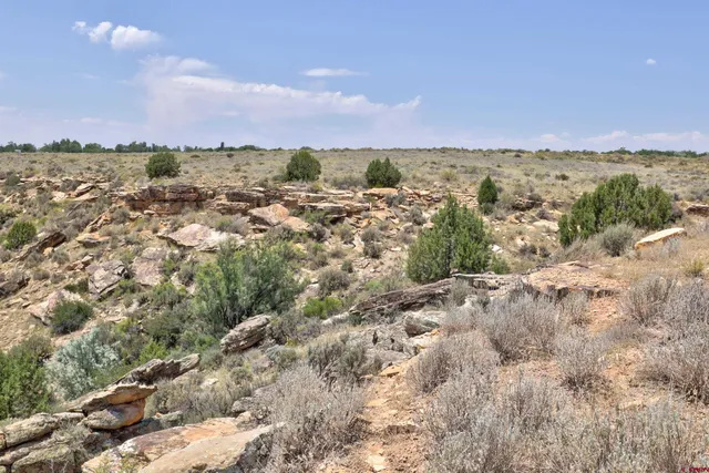 a view of a lake with a mountain in the background