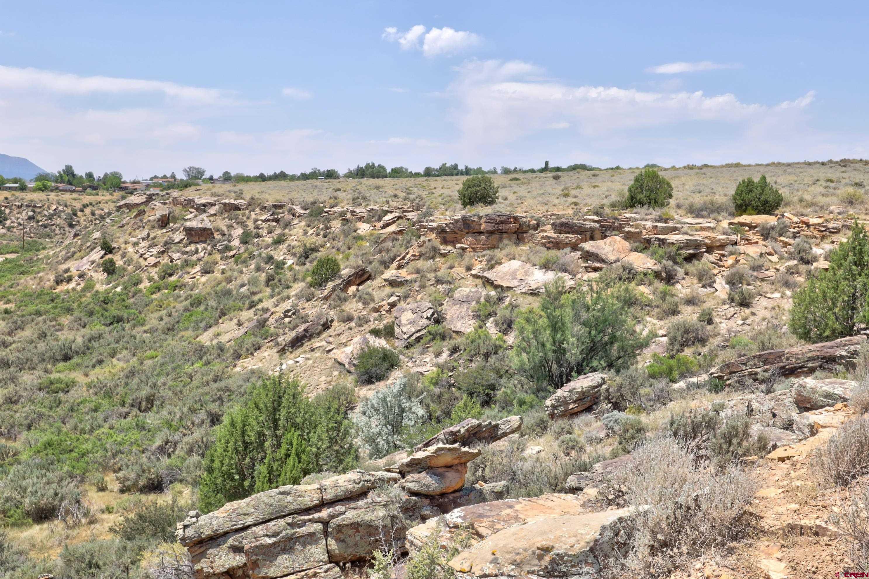1125 Bluffs Boulevard Cortez, CO 81321 - Photo 16 of 29 a view of a city