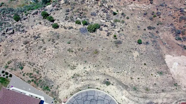 a view of a dry yard with lots of bushes