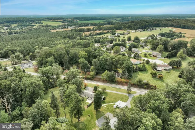 a view of a city with lush green forest