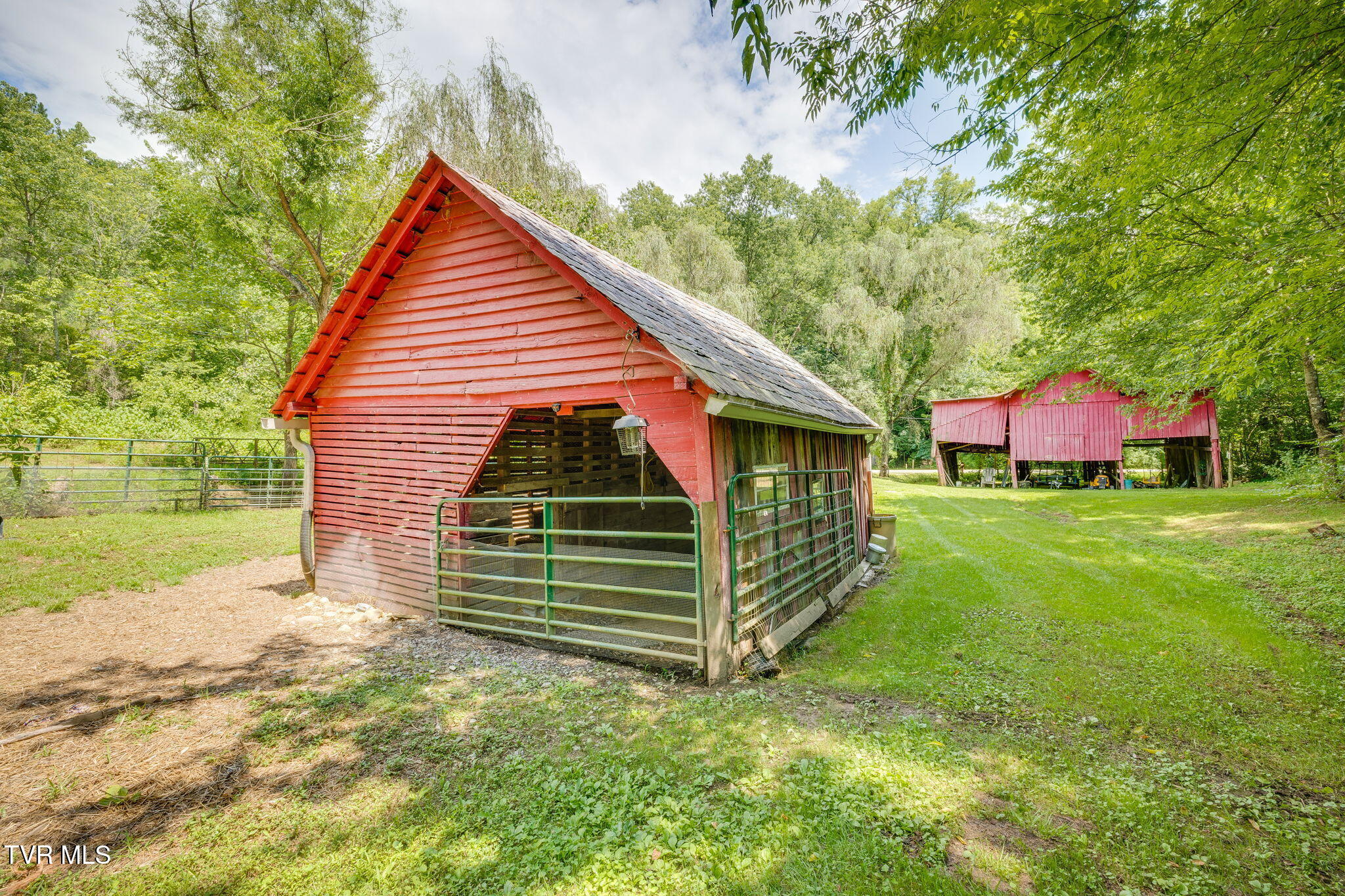 1355 Jackson Hollow Road Mosheim, TN 37818 - Photo 41 of 95 040