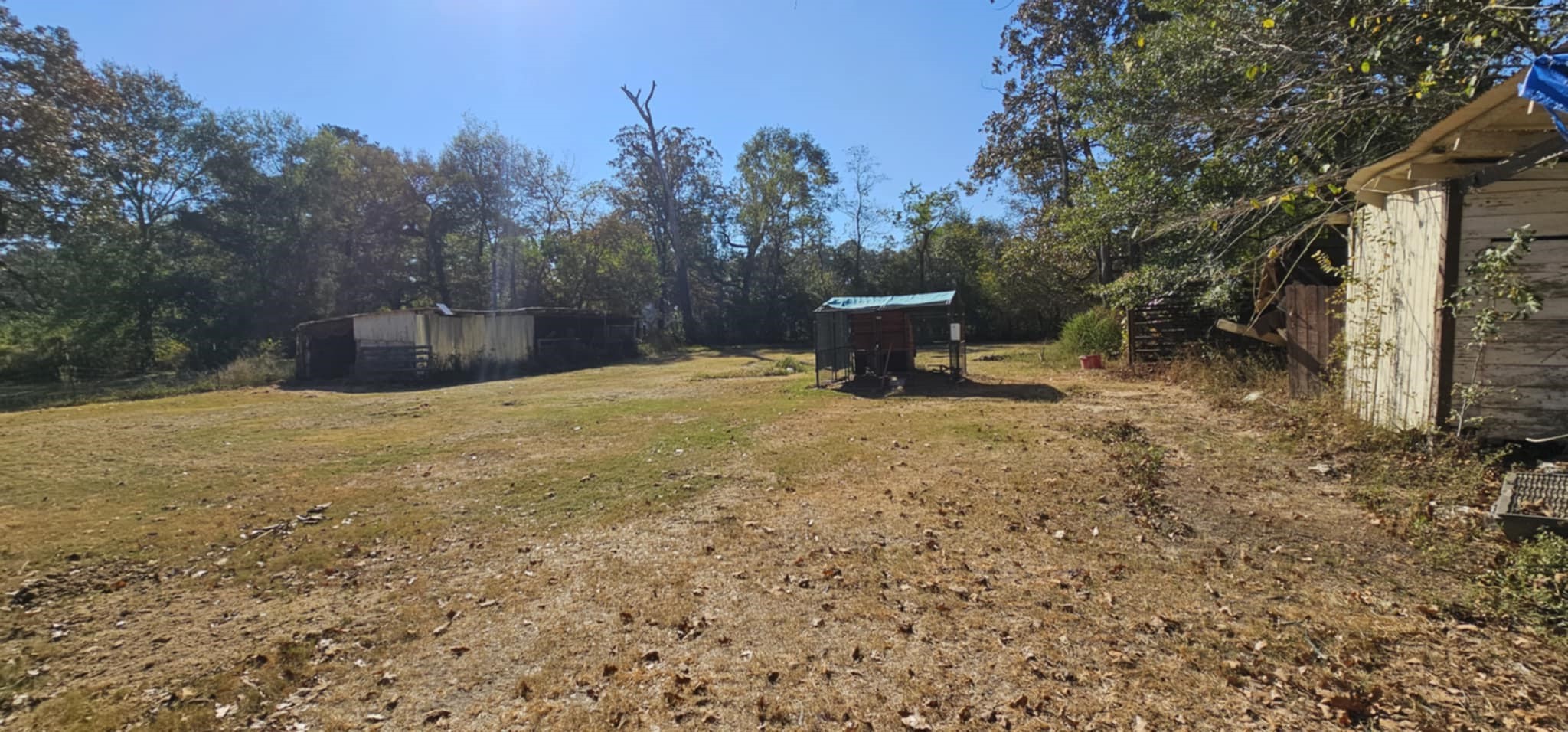 13497 Morgan Drive Splendora, TX 77372 - Photo 17 of 35