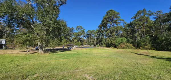 a view of a yard with large trees