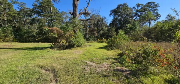 $385,000 | 13497 Morgan Drive, Splendora, TX 77372