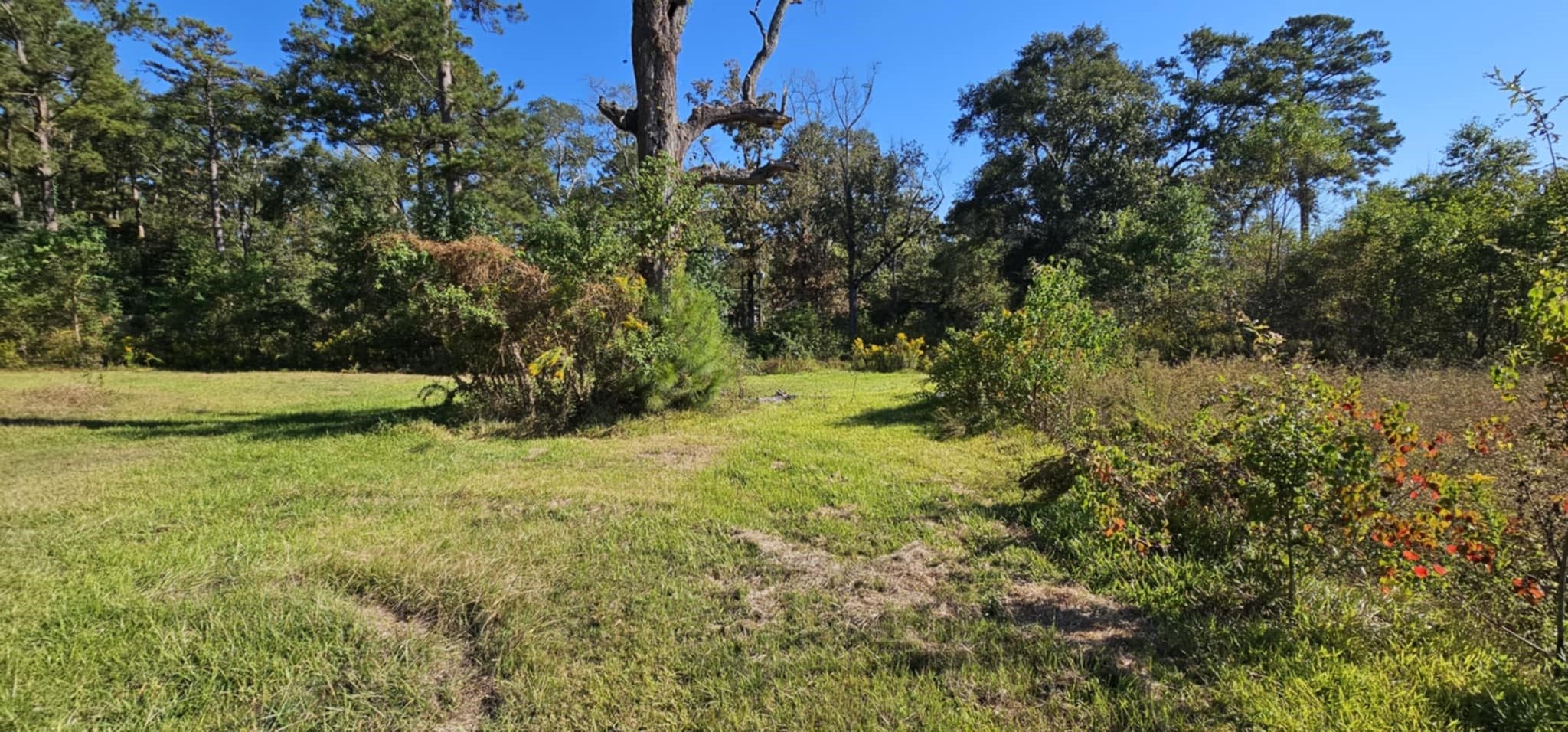 13497 Morgan Drive Splendora, TX 77372 - Photo 34 of 35