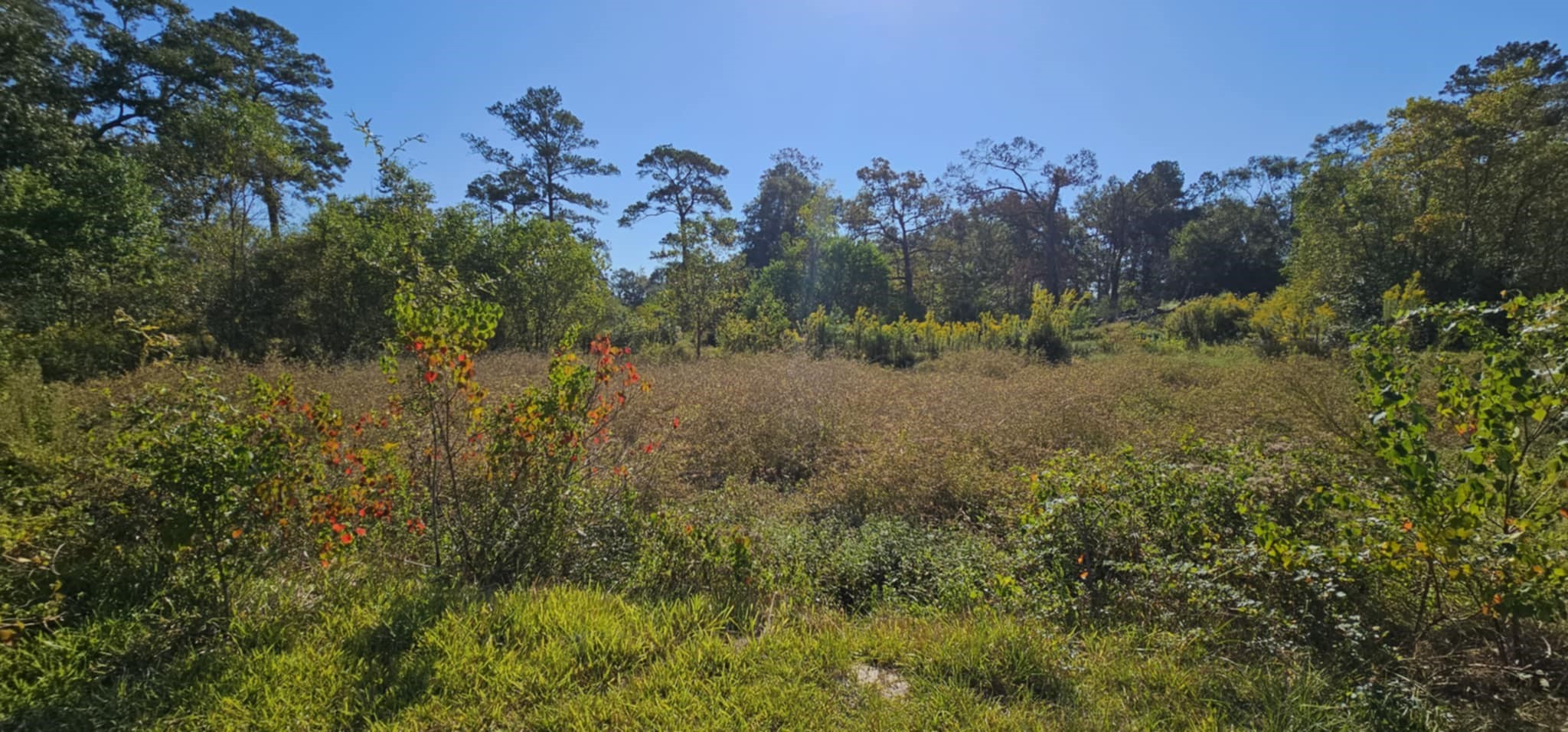 13497 Morgan Drive Splendora, TX 77372 - Photo 35 of 35