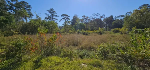 $385,000 | 13497 Morgan Drive, Splendora, TX 77372