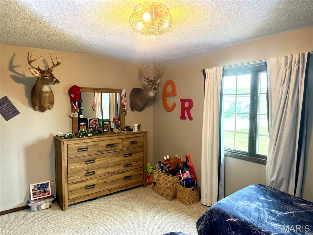 3417 College Street Road Salem, IL 62881 - Photo 15 of 54 Gallery Image 15