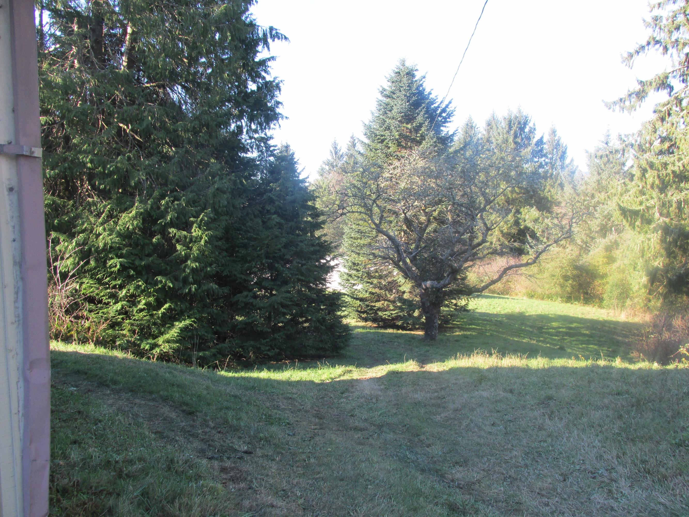 7600 Baseline Road Tillamook, OR 97141 - Photo 2 of 2 IMG_0520
