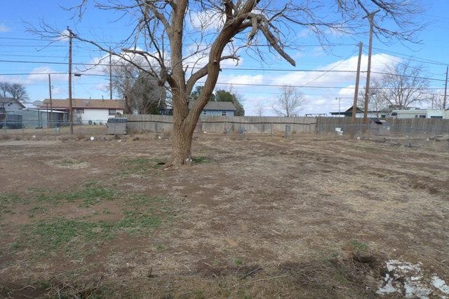 513 East Tulane Street Lubbock, TX 79403 - Photo 10 of 10 a view of a yard with a tree