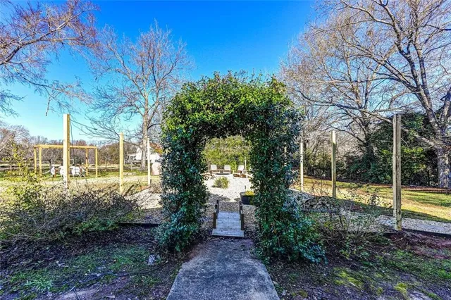 a view of a yard with plants and large trees