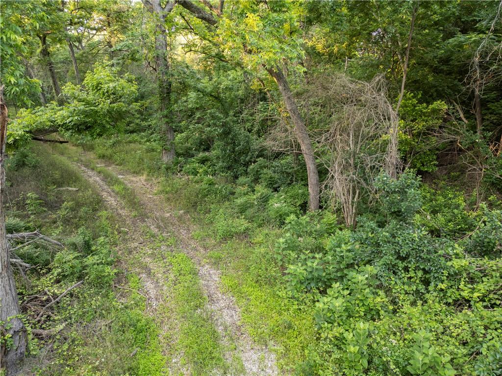 2906 Maple Hill Circle Waco, TX 76708 - Photo 3 of 8 a view of a lush green forest