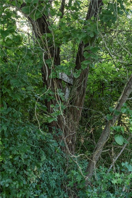 2906 Maple Hill Circle Waco, TX 76708 - Photo 6 of 8 a view of a lush green forest