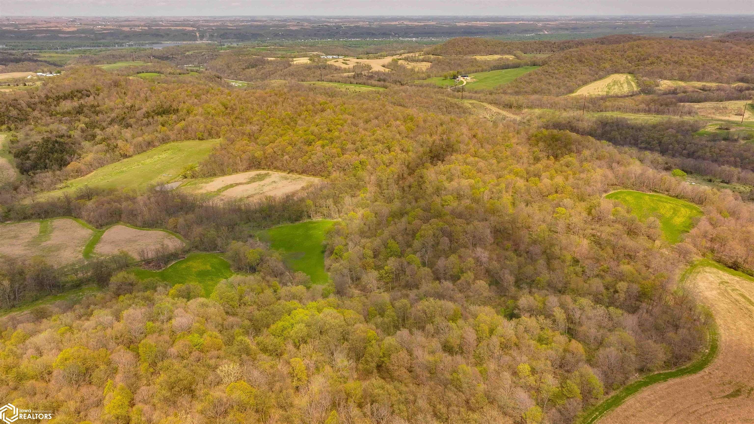 38346 Cherry Valley Road Guttenberg, IA 52052 - Photo 55 of 75 Gallery Image 55