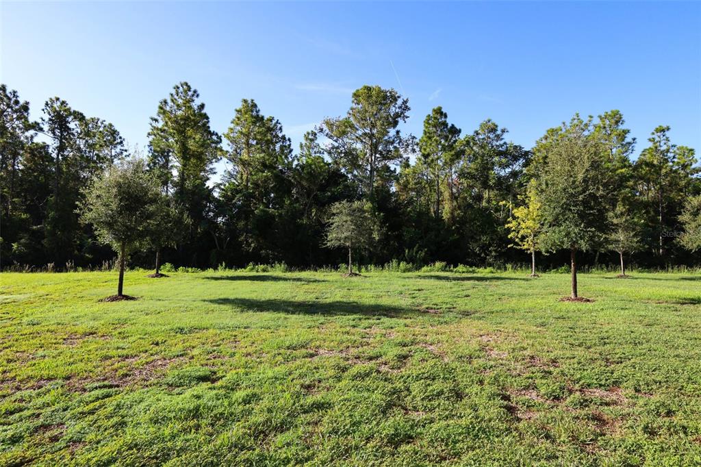 5288 Obsidian Gate Road Mount Dora, FL 32757 - Photo 66 of 69 Gallery Image 66