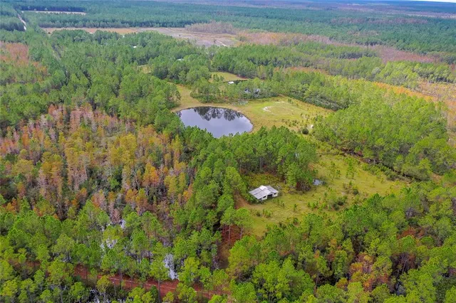 a view of a yard with an outdoor space