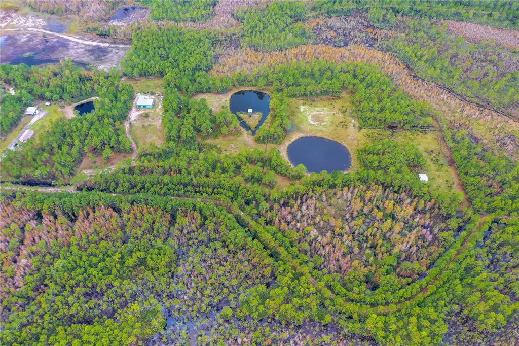 265 Carter Trail Ormond Beach, FL 32174 - Photo 7 of 8 a bird view of a garden