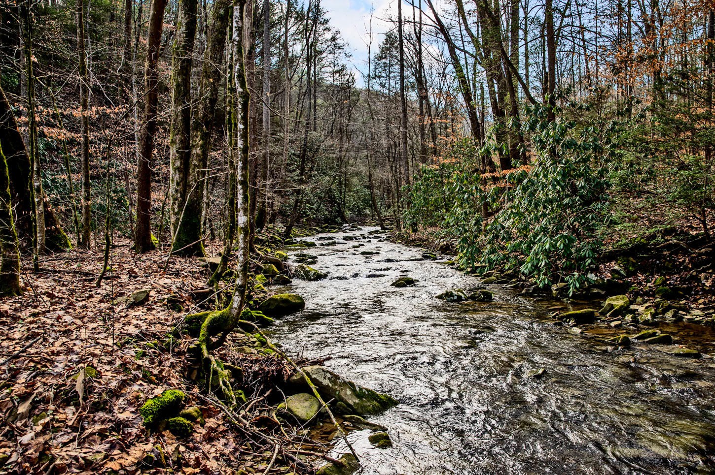 541 Riggs Chapel Road Harriman, TN 37748 - Photo 3 of 40 Gallery Image 3