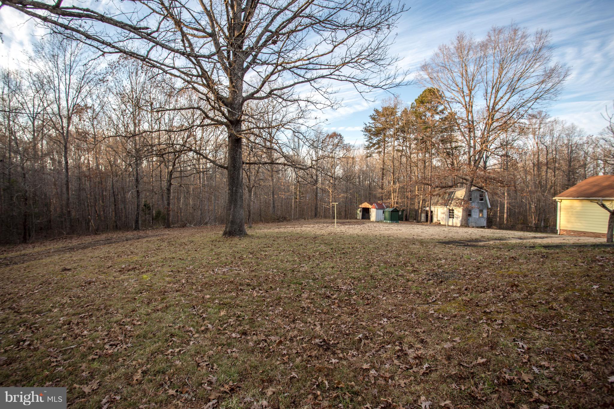 283 Mapleranda Road Bumpass, VA 23024 - Photo 11 of 50 Back Yard