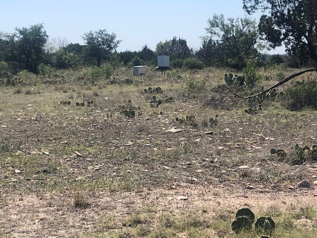 251 East Ranch Road 2169 Junction, TX 76849 - Photo 36 of 43 a view of a dry field with trees in the background