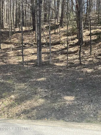 $74,900 | L4-5 Marina Road, Chestertown, NY 12817