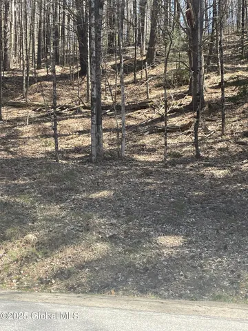 $74,900 | L4-5 Marina Road, Chestertown, NY 12817