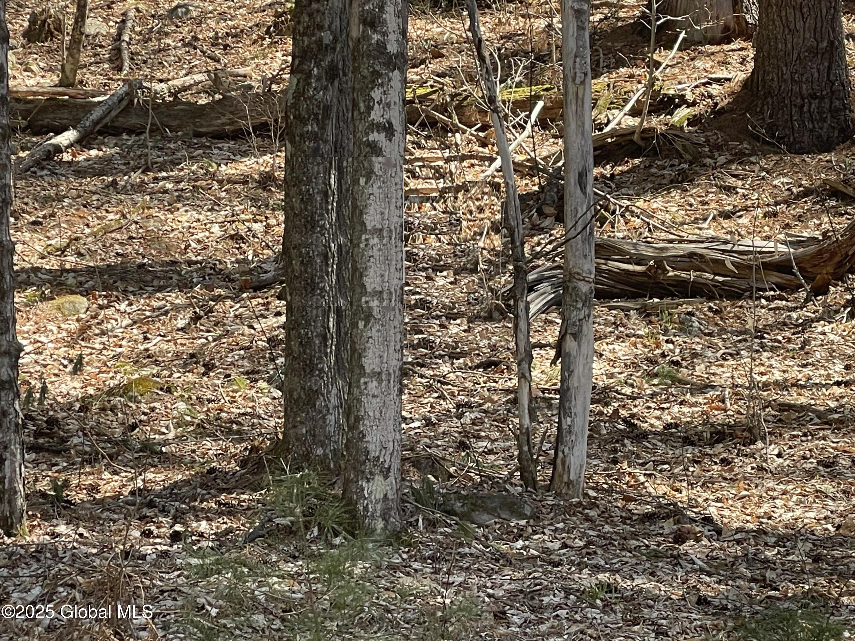 L4-5 Marina Road Chestertown, NY 12817 - Photo 2 of 5 4-5 photo2