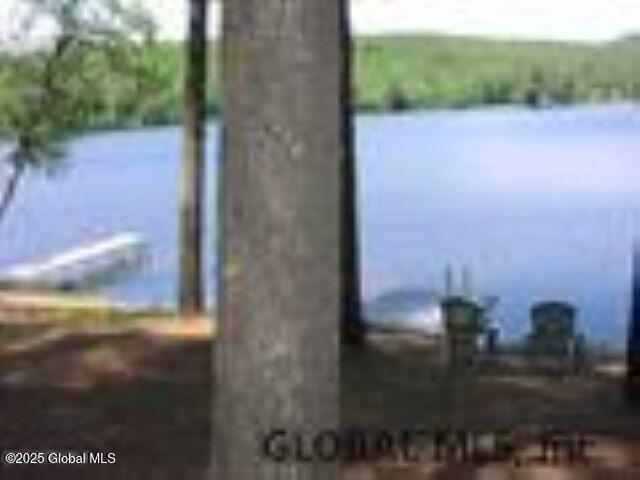 L4-5 Marina Road Chestertown, NY 12817 - Photo 3 of 5 Lakeview Point Beach 1