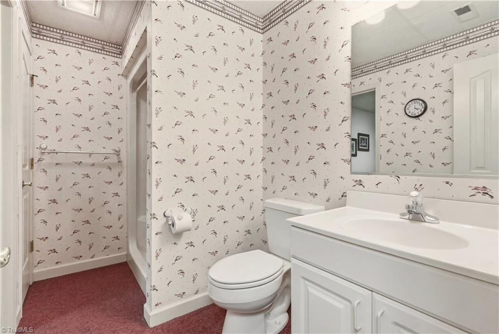 2393 Union Grove Road Lexington, NC 27295 - Photo 26 of 37 Full bath on lower level, open to Flex Rm #4 and Hall