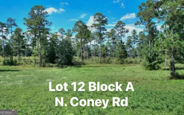$22,900 | 0 North Coney Road, Unit LOT 12 BLOCK A, Cordele, GA 31015