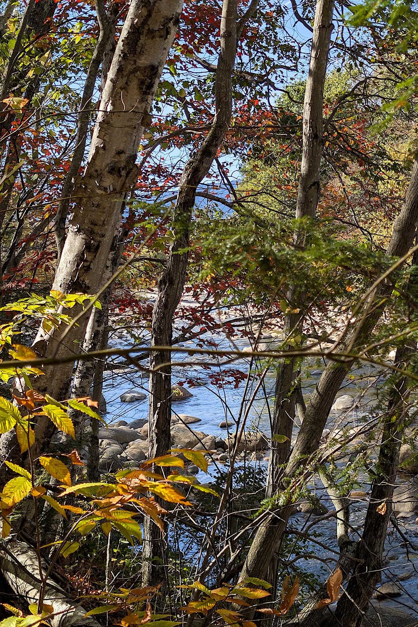 254 South Peak Road Lincoln, NH 03251 - Photo 25 of 52