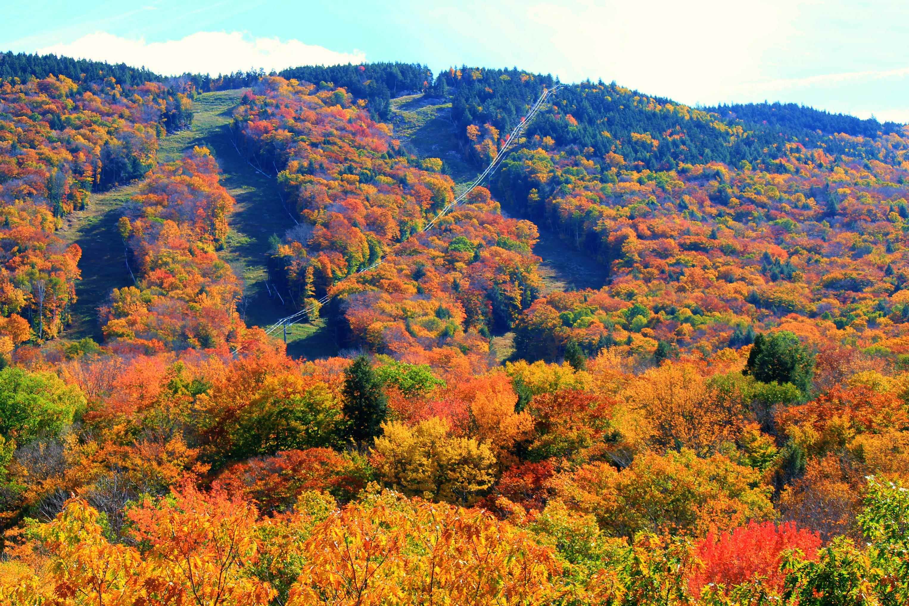 254 South Peak Road Lincoln, NH 03251 - Photo 35 of 54