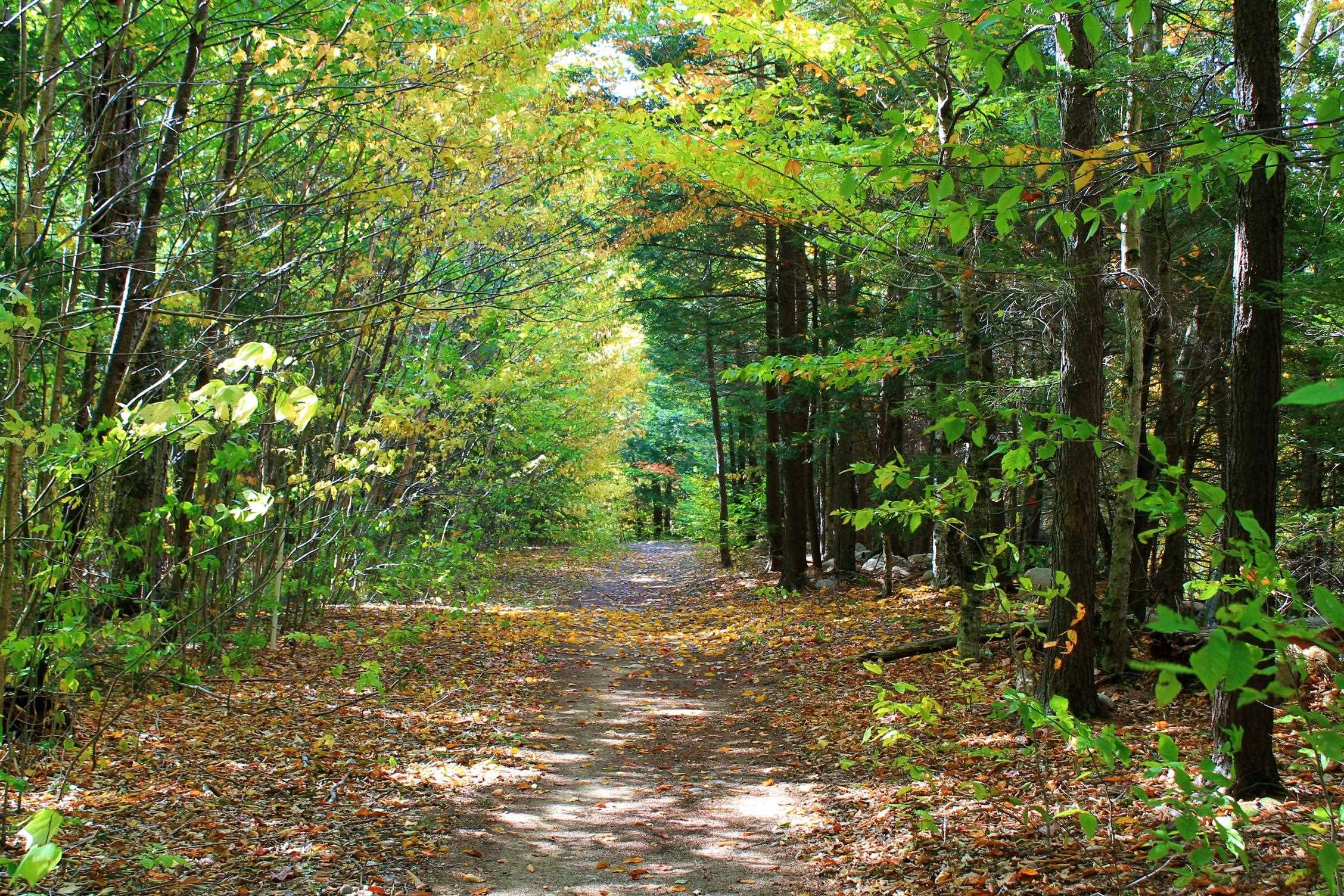 254 South Peak Road Lincoln, NH 03251 - Photo 40 of 52