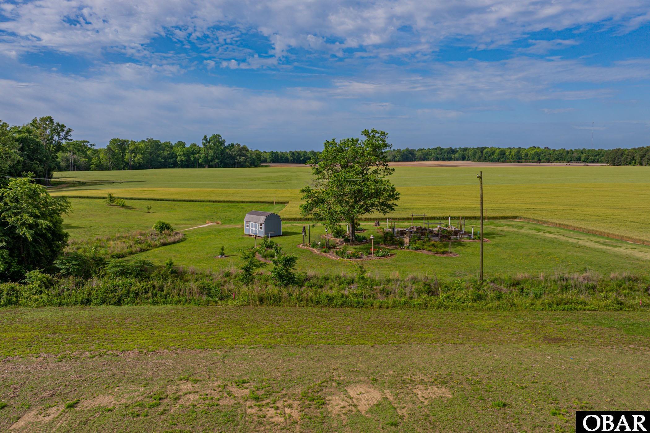 247 Wildcat Road Edenton, NC 27932 - Photo 11 of 20 Surrounding Farmland