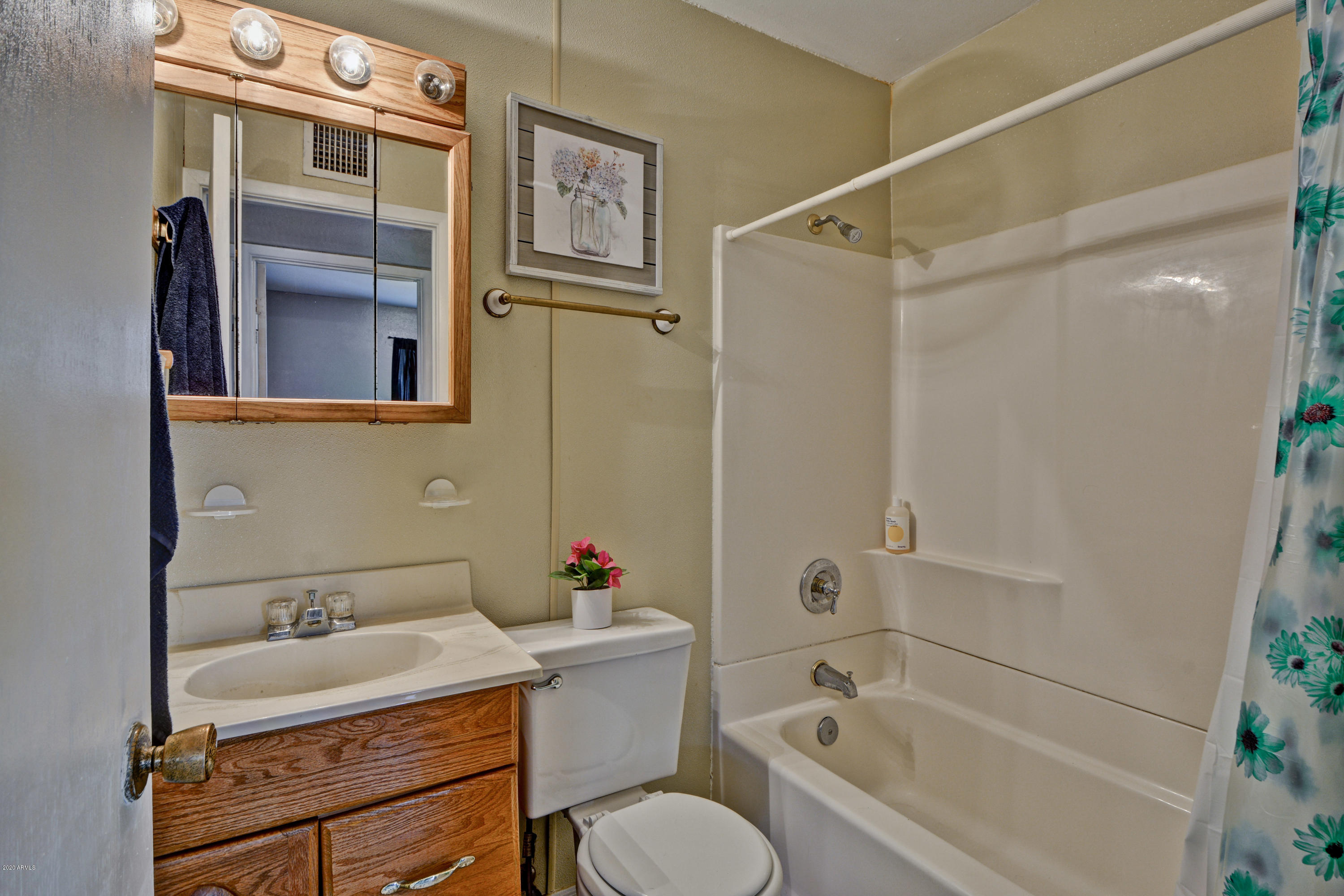 425 Jamestown Road Kearny, AZ 85137 - Photo 13 of 44 Hall Bathroom