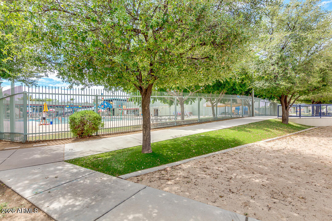 2145 East Center Lane, Unit 2 Tempe, AZ 85281 - Photo 17 of 20 a view of a park with large trees and plants