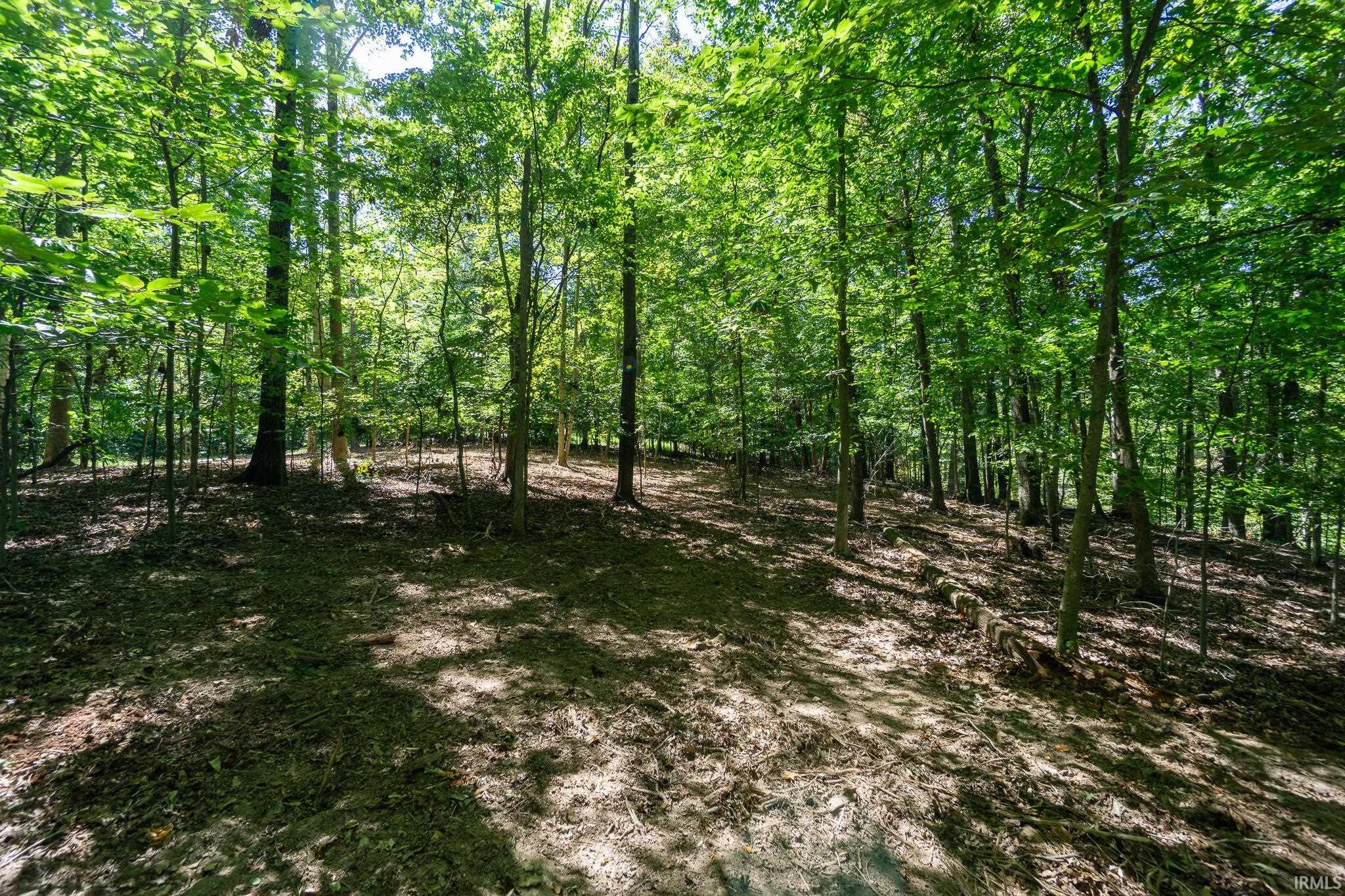 7497 East Rush Ridge Road Bloomington, IN 47401 - Photo 5 of 21