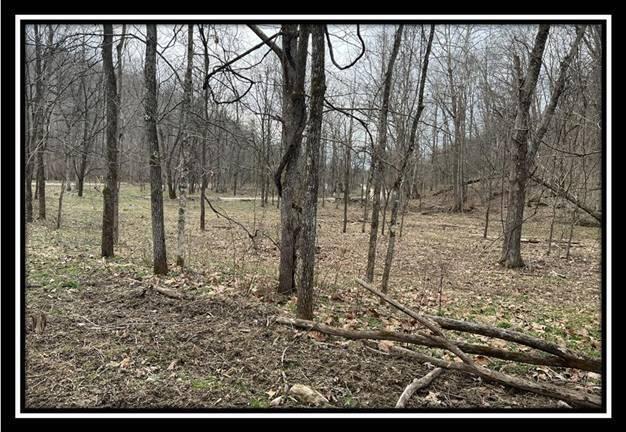 35471 Buck Run Road Langsville, OH 45741 - Photo 25 of 32