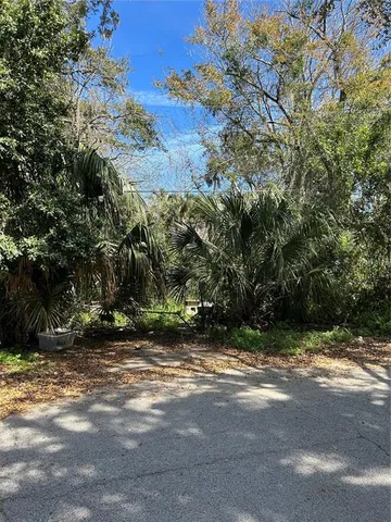 a view of a yard with a tree