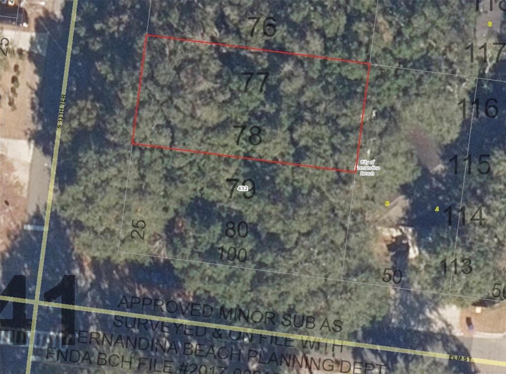 South 13th Terrace Fernandina Beach, FL 32034 - Photo 2 of 4 a view of a forest from a window
